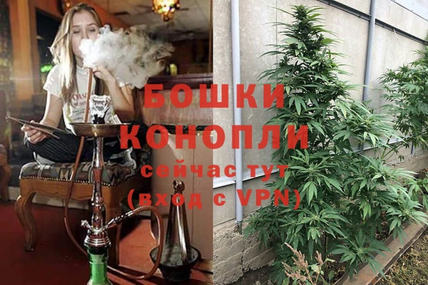 гидропоника Алексин