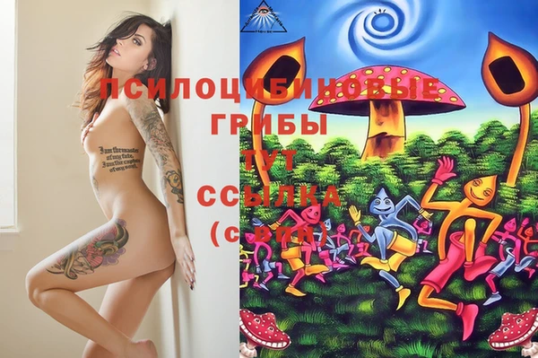 прущие крисы Алексеевка