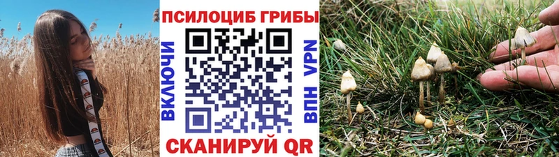 Галлюциногенные грибы Cubensis  Людиново 